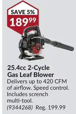 Princess Auto 25.4cc 2-Cycle Gas Leaf Blower offer