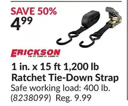 Princess Auto 1 in.x15 ft 1,200 lb Ratchet Tie-Down Strap offer