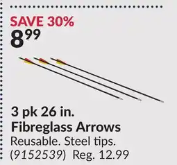 Princess Auto 3 pk. 26 in. Fibreglass Arrows offer