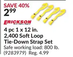 Princess Auto 4pc 1x 12 in. 2,400 Soft Loop Tie-Down Strap Set offer