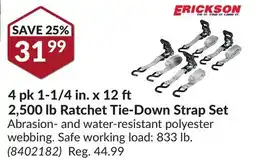 Princess Auto 4 pk 1-1/4 in.x 12 2,500 lb Ratchet Tie-Down Strap Set offer