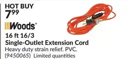 Princess Auto 16 ft 16/3 Single-Outlet Extension Cord offer