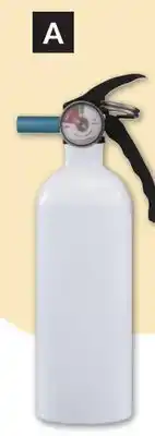 Princess Auto Fire Extinguishers offer