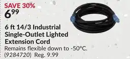 Princess Auto 6 ft 14/3 Industrial Single-Outlet Lighted Extension Cord offer