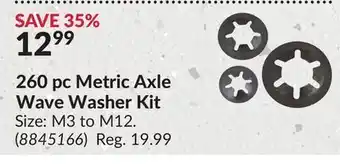 Princess Auto 260 pc Metric Axle Wave Washer Kit offer