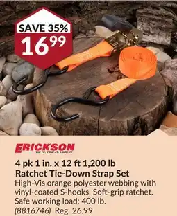 Princess Auto 4pk 1in.x12 ft 1,200 lb Ratchet Tie-Down Strap Set offer