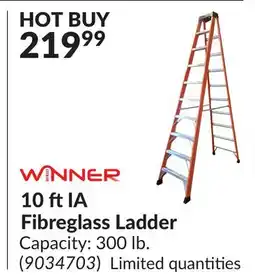 Princess Auto 10 ft IA Fibreglass Ladder offer
