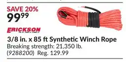 Princess Auto 3/8 in. x 85 ft Synthetic Winch Rope offer
