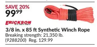 Princess Auto 3/8 in. x 85 ft Synthetic Winch Rope offer