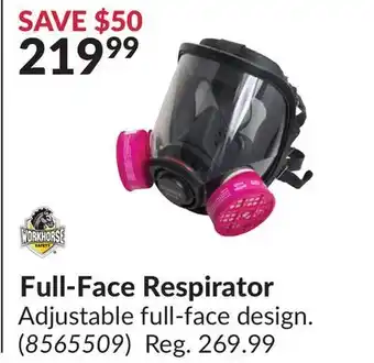 Princess Auto Full-Face Respirator offer
