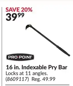 Princess Auto 16 in. Indexable Pry Bar offer