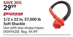Princess Auto 1/2 x 22 in. 57,000 lb Soft Shackle offer