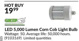 Princess Auto GRIP GRAND RAPIDS INDUSTRIAL PRODUCTS LED 5,000 Lumen Corn Cob Light Bulb offer