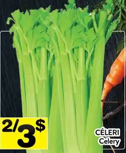 Supermarché PA CÉLERI | Celery offer