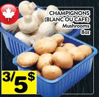 Supermarché PA CHAMPIGNONS (BLANC OU CAFÉ) | Mushrooms offer