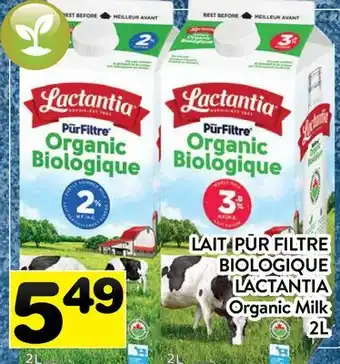 Supermarché PA LAIT PŪR FILTRE BIOLOGIQUE LACTANTIA | Organic Milk offer
