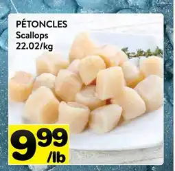 Supermarché PA PÉTONCLES | Scallops offer