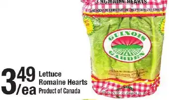 Arz Fine Foods Lettuce romaine hearts offer