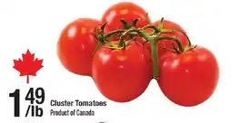 Arz Fine Foods Cluster tomatoes offer