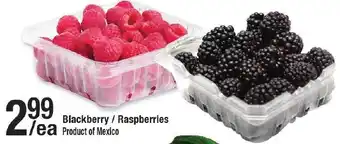 Arz Fine Foods Blackberry raspberries offer