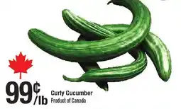 Arz Fine Foods Curly cucumber offer