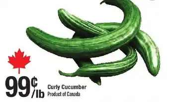 Arz Fine Foods Curly cucumber offer