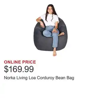 Costco Norka Living Loa Corduroy Bean Bag offer
