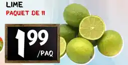 Marche Salaberry LIME offer