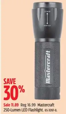 Canadian Tire Mastercraft 250-Lumen LED Flashlight offer