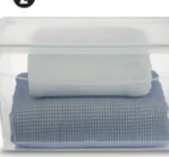 Canadian Tire type A Clarity Storage Container offer