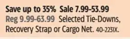Canadian Tire Selected Tie-Downs offer