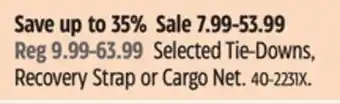 Canadian Tire Selected Tie-Downs offer