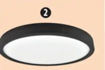 Canadian Tire NOMA 15˝ 5-CCT Flush-Mount Light, Black or White offer