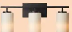 Canadian Tire CANVAS Northfield Vanity Light offer