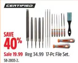 Canadian Tire certified 17-Pc File Set offer