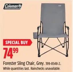 Canadian Tire Coleman Forester Sling Chair offer