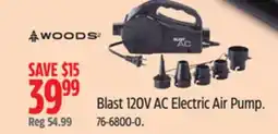 Canadian Tire WOODS Blast 120V AC Electric Air Pump offer