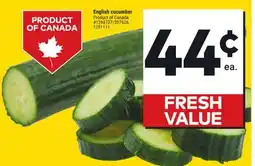 Giant Tiger English cucumber offer