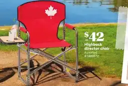 Giant Tiger Highback director chair offer