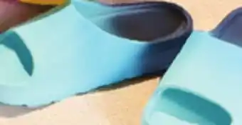Giant Tiger Boys or girls slides offer