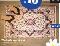 Giant Tiger Washable accent mat offer