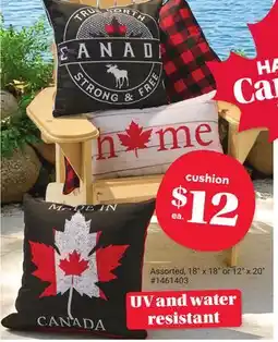 Giant Tiger cushion offer