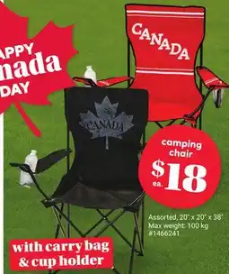 Giant Tiger Camping Chair offer
