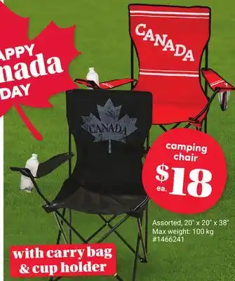 Giant Tiger Camping Chair offer