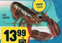 Marché Adonis LIVE LOBSTER offer