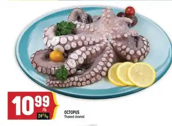 Marché Adonis OCTOPUS offer