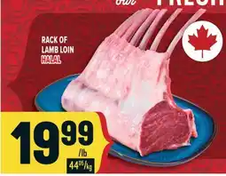 Marché Adonis RACK OF LAMB LOIN HALAL offer