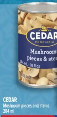 Marché Adonis CEDAR Mushroom pieces and stems offer
