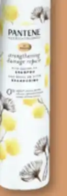 Familiprix PANTENE Shampoo, selected sizes offer