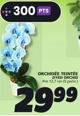 IGA DYED ORCHID offer